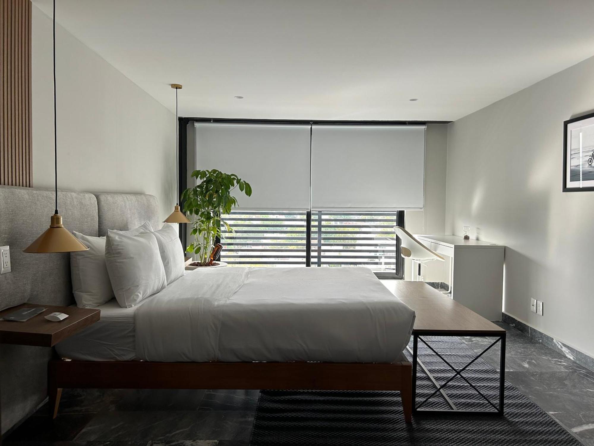 Arquimedes 138 By Wynwood House Aparthotel - Mexico City — Photos 3